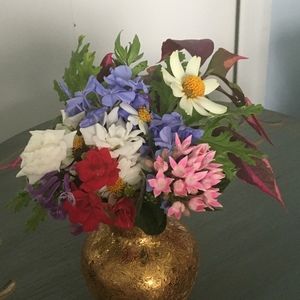 Meet your Posher, Dawn marie